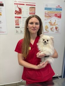 Анкудова Дарья Анатольевна