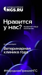 Народная премия NGS.ru