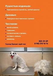 Вашему лохматому питомцу требуется груминг