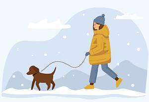 Выгул собак в холод Выгул собак в холод