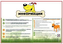 Памятка по вопросу отлова безнадзорных животных