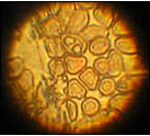 lab_6.jpg lab_6.jpg