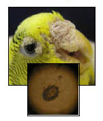 lab_11.jpg lab_11.jpg