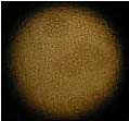 lab_10.jpg lab_10.jpg