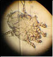 lab_12.jpg lab_12.jpg