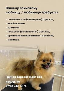 Вашему лохматому питомцу требуется груминг