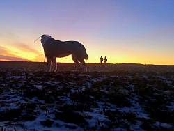 Потеряться – не значит пропасть! Потеряться – не значит пропасть!