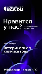 Народная премия NGS.ru Народная премия NGS.ru