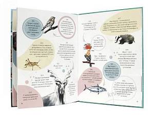 Фразеологизмы о животных Фразеологизмы о животных